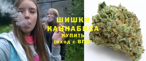 тгк Богданович